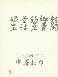 奶爸的乡村悠闲生活免费阅读