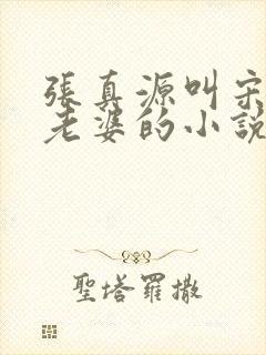 张真源叫宋亚轩老婆的小说
