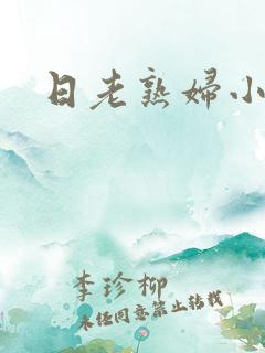 日老熟妇小说