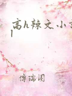 高h辣文小说bl