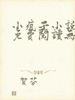 小疯子小说全文免费阅读无弹窗