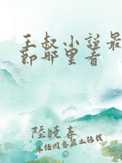 王叔小说最新章节哪里看