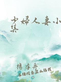 少妇人妻小说合集