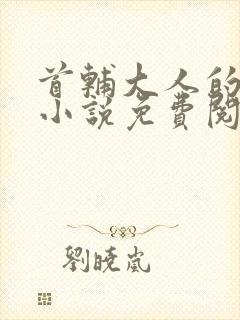 首辅大人的宠妾小说免费阅读
