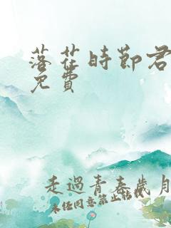 落花时节君不在免费