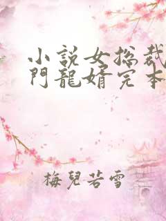 小说女总裁的上门龙婿完本txt