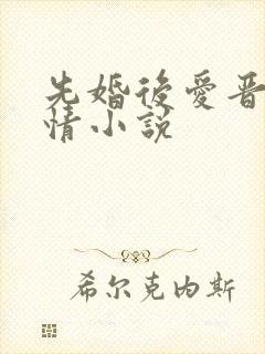 先婚后爱晋江言情小说