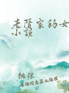 老隋家的女人们小说