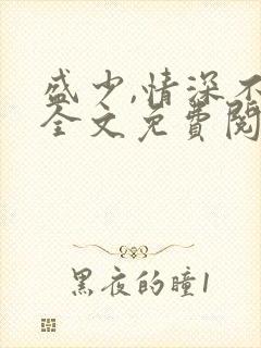盛少,情深不晚全文免费阅读