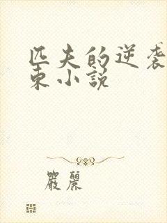 匹夫的逆袭刘汉东小说