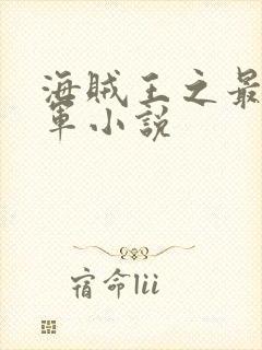 海贼王之最强海军小说