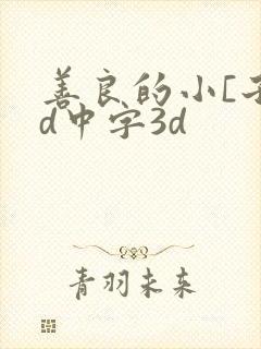 善良的小[子hd中字3d