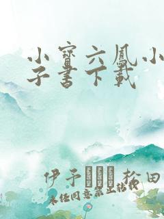 小宝六凤小说电子书下载