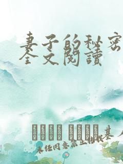 妻子的秘密往事全文阅读