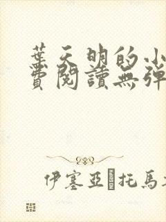 叶天明的小说免费阅读无弹窗