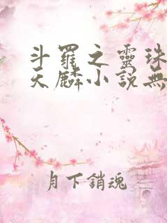 斗罗之灵珠神剑天麟小说无弹窗