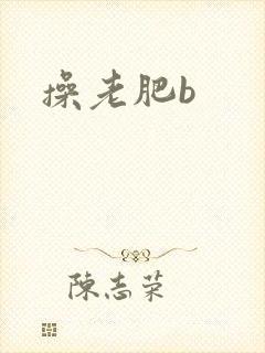 操老肥b