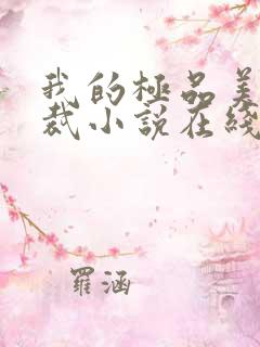 我的极品美女总裁小说在线收听