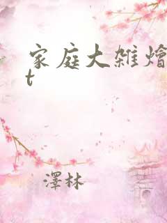 家庭大杂烩txt