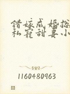 错嫁成婚总裁的私宠甜妻小说