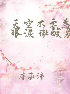 天空不要为我掉眼泪 微酸袅袅