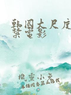 韩国大尺度19禁电影