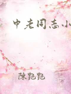 中老同志小说