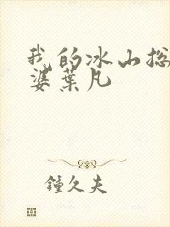 我的冰山总裁老婆叶凡