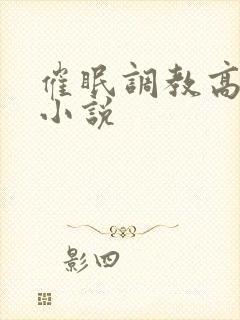 催眠调教高h 小说