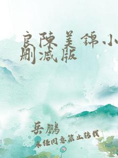 良陈美锦小说无删减版