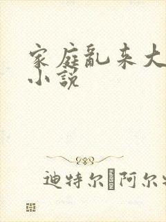 家庭乱来大杂烩小说
