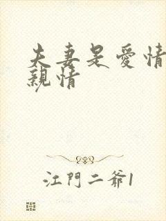 夫妻是爱情还是亲情