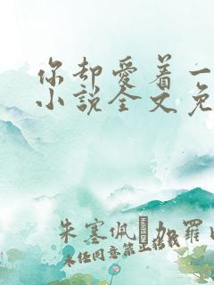 你却爱着一个他小说全文免费阅读