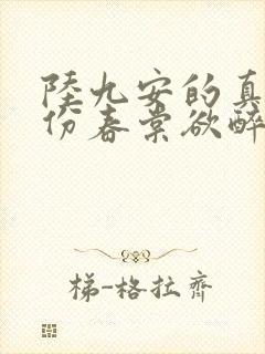 陆九安的真实身份春棠欲醉