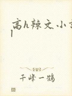高h辣文小说bl