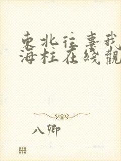 东北往事我叫刘海柱在线观看