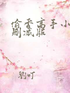 偷香高手小说无删减版