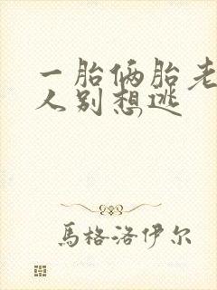 一胎俩胎老婆大人别想逃