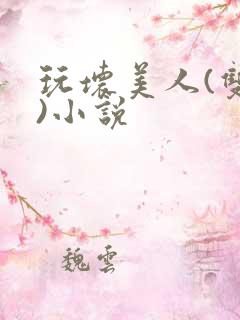 玩坏美人(双性)小说