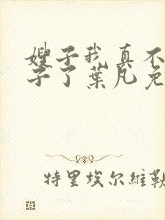 嫂子我真不是傻子了叶凡免费全本大结局