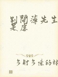 别闹薄先生甜还是虐