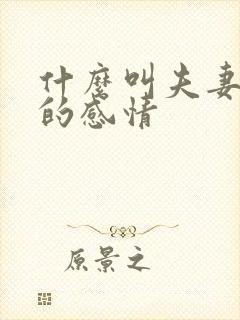 什么叫夫妻之间的感情