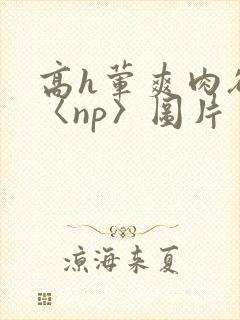 高h荤爽肉欲文〈np〉图片