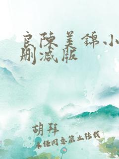 良陈美锦小说无删减版