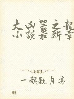 大凶器之龙傻子小说最新章节免费阅读