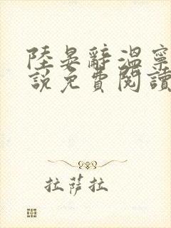 陆晏辞温宁的小说免费阅读