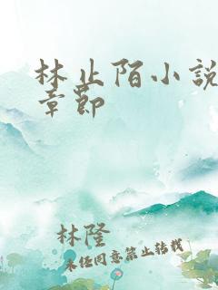 林止陌小说最新章节