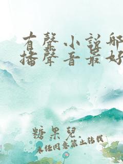 有声小说哪个主播声音最好听