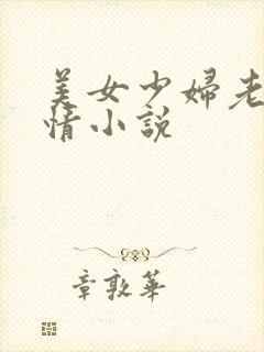 美女少妇老师激情小说