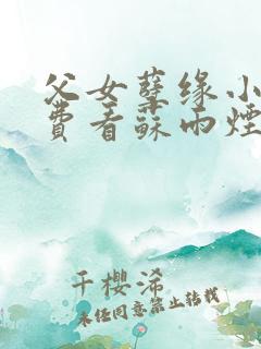 父女孽缘小说免费看苏雨烟